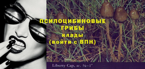 спиды Алексин
