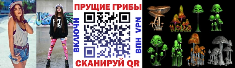 Псилоцибиновые грибы Cubensis  Нея 